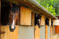 free Hengrove Park stable construction quotes